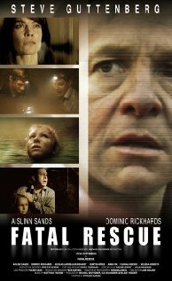 Роковое спасение (2009) постер