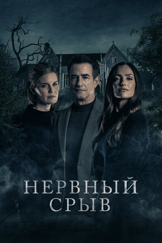 Нервный срыв (2024) постер